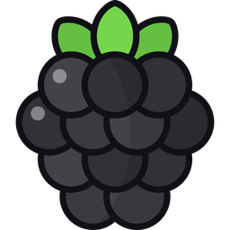 Blackberry  Icon