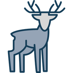 Animal  Icon