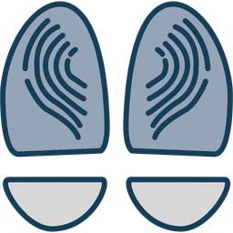 Anatomy  Icon