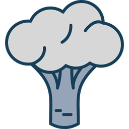 Broccoli  Icon