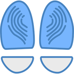 Anatomy  Icon