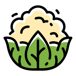 Cauliflower  Icon