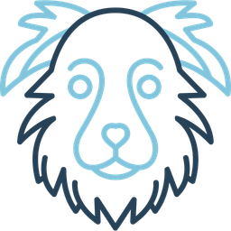 Border collie  Icon