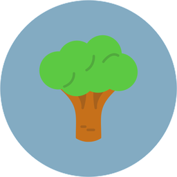 Broccoli  Icon