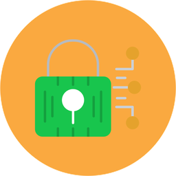 Cyber Security  Icon