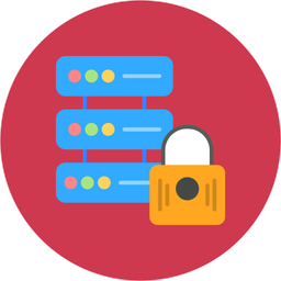 Database Secure  Icon