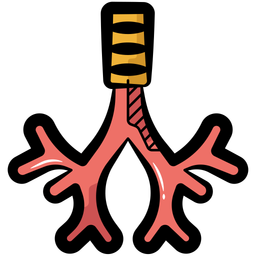 Bronchus  Icon