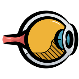 Eyeball  Icon