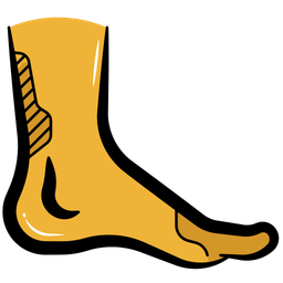 Foot  Icon