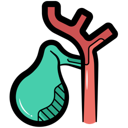 Gallbladder  Icon