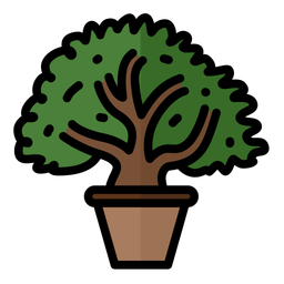 Bonsai  Icon