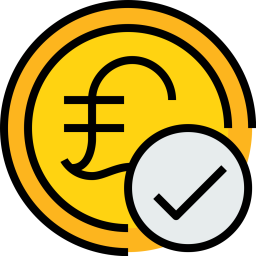 Coin  Icon