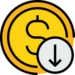 Coin  Icon