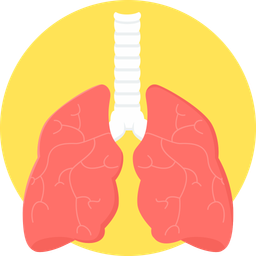 Lungs  Icon