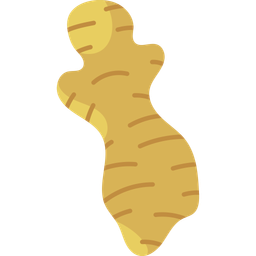 Ginger Root  Icon