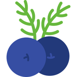 Juniper Berries  Icon