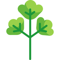 Parsley Herb  Icon