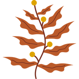 Sargassum  Icon