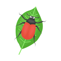 Beetle  Icon