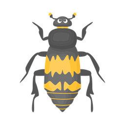 Beetle  Icon