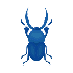 Beetle  Icon