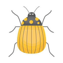 Bug  Icon