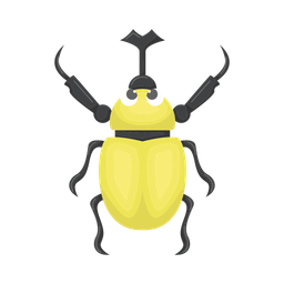 Beetle  Icon