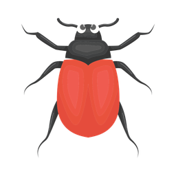 Beetle  Icon