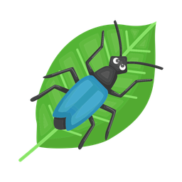 Beetle  Icon