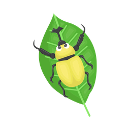 Beetle  Icon