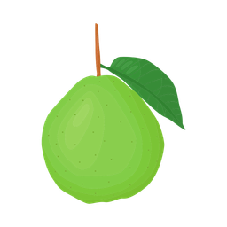 Guava  Icon