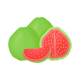 Guava  Icon