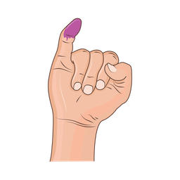 Election  Icon