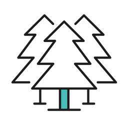 Forest  Icon