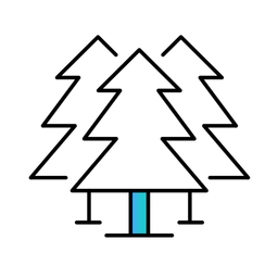 Forest  Icon