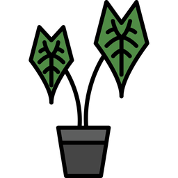 Alocasia  Icon