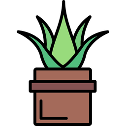 Aloe vera  Icon