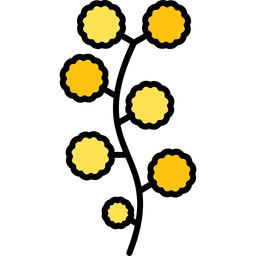 Australian flower  Icon