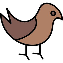 Bird  Icon