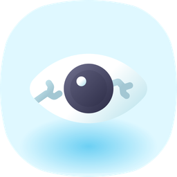 Eye  Icon