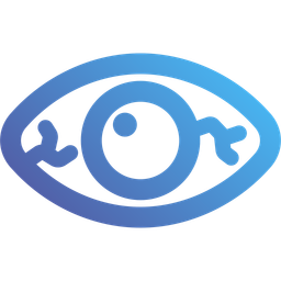 Eye  Icon