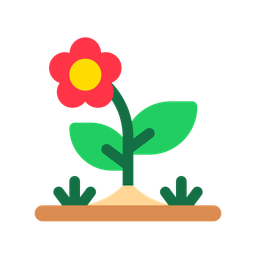 Flower  Icon