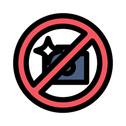 No Flash Icon  Icon