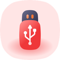 Flash disk  Icon