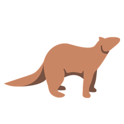 Ferret  Icon