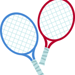 Racket  Icon