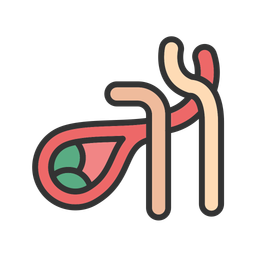 Gallbladder  Icon