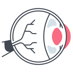 Eyeball  Icon