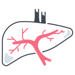 Liver  Icon