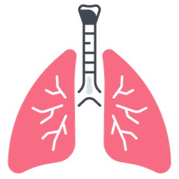 Lungs  Icon